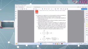 <strong>Química Orgánica del Carbono</strong> (Estabilización Madrid 2023)